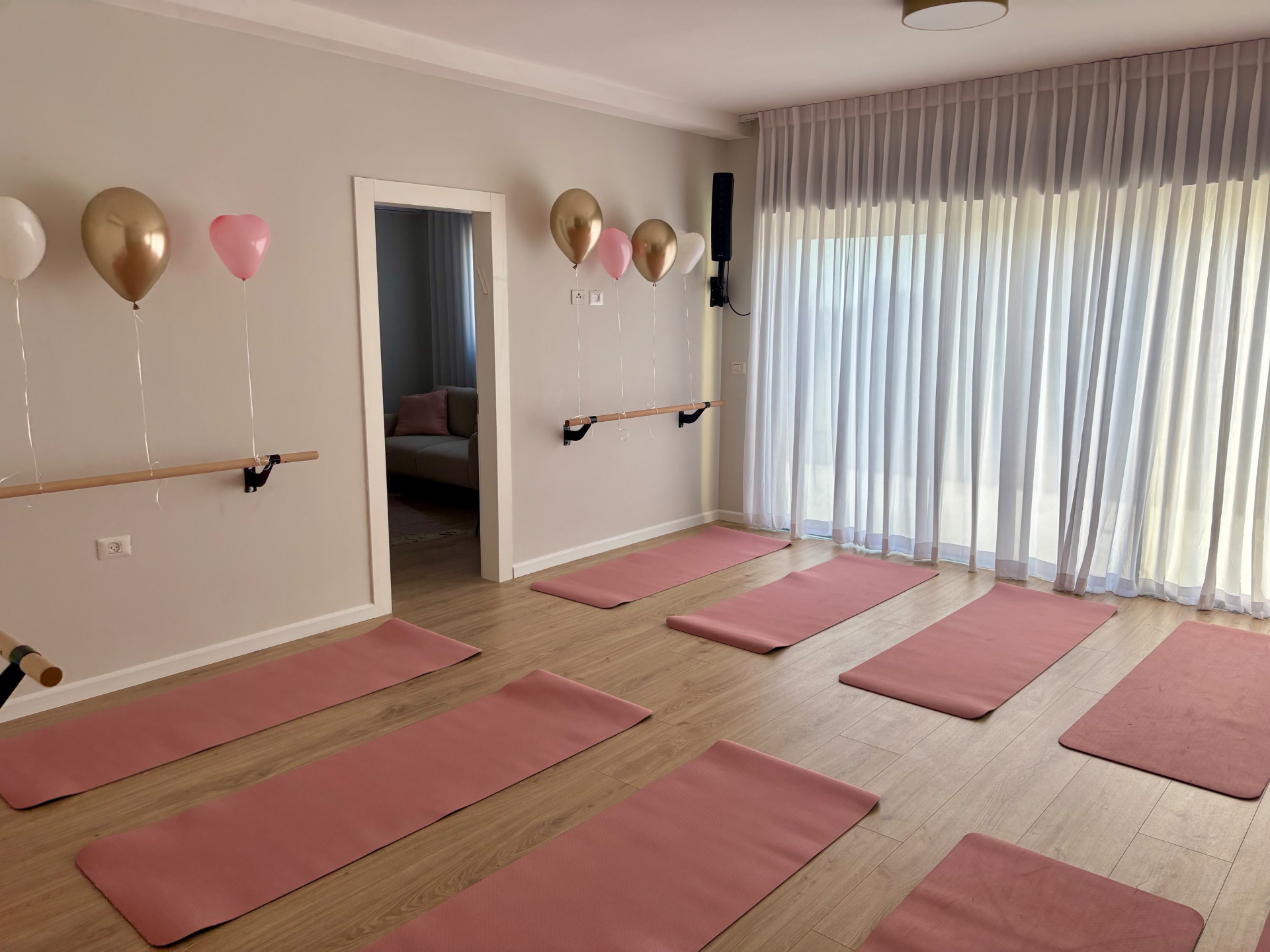 אולם האימונים בסטודיו עם מזרנים ורודים ומוט בר